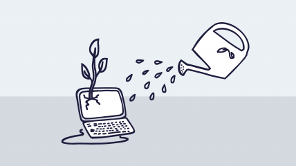 Illustrazione di un laptop da cui cresce una pianta, mentre un annaffiatoio la irriga. Rappresenta la cura necessaria per far crescere un sito web.