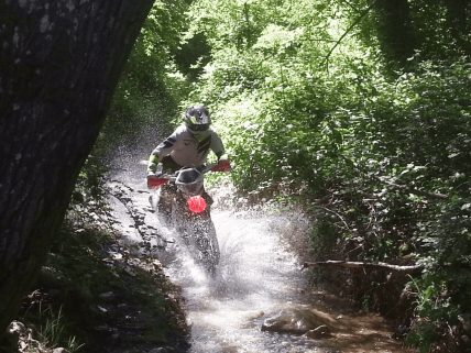 Moreno in moto in mezzo al bosco