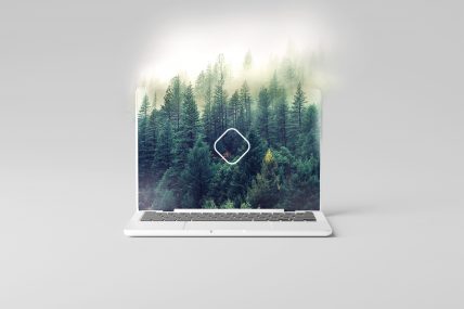 An image of a laptop with trees on it.